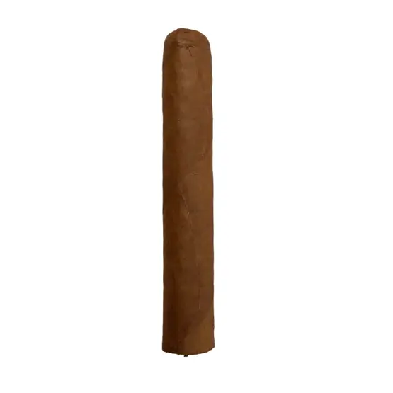Cusano Dominican Robusto Cigar – Single - Image 2